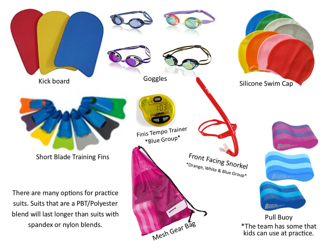 Required Gear - PAC DOLPHINS SWIM TEAM